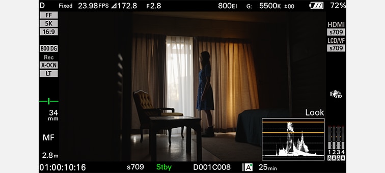 Εικόνα της οθόνης φωτογραφικής μηχανής FX5 που δείχνει ένα άτομο σε σιλουέτα να στέκεται δίπλα σε ένα παράθυρο με κουρτίνες.