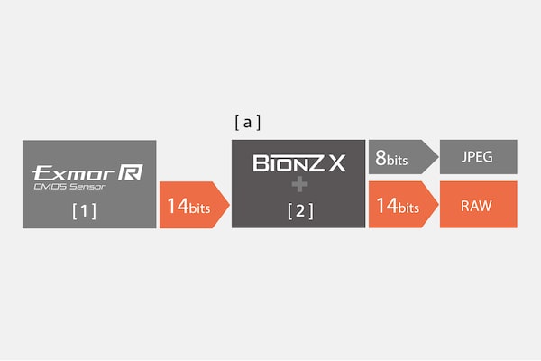 Έξοδος σε RAW 14 bit για πλούσιες διαβαθμίσεις